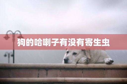 狗的哈喇子有沒有寄生蟲