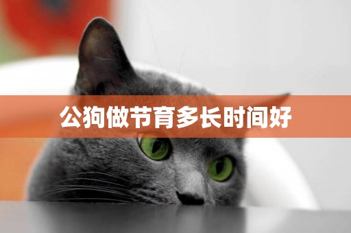 公狗做節育多長時間好