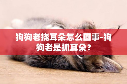 狗狗老撓耳朵怎么回事-狗狗老是抓耳朵？