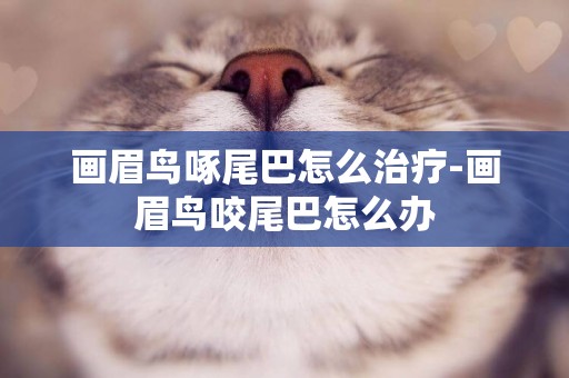 畫眉鳥啄尾巴怎么治療-畫眉鳥咬尾巴怎么辦