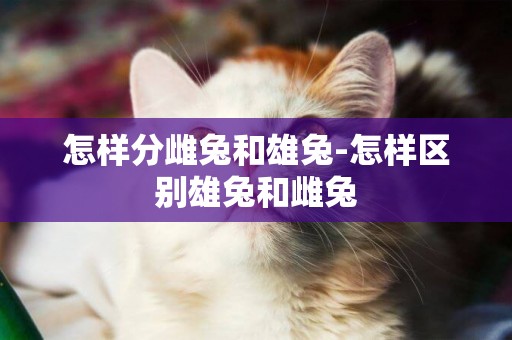 怎樣分雌兔和雄兔-怎樣區別雄兔和雌兔