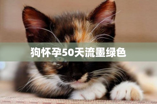 狗懷孕50天流墨綠色