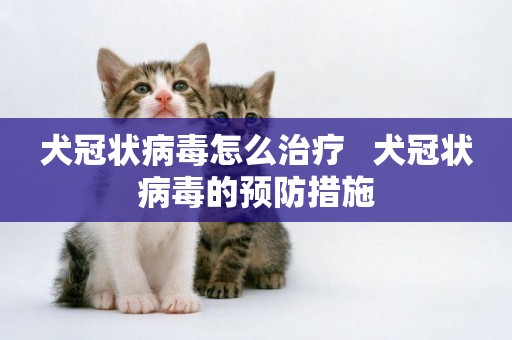 犬冠狀病毒怎么治療   犬冠狀病毒的預防措施