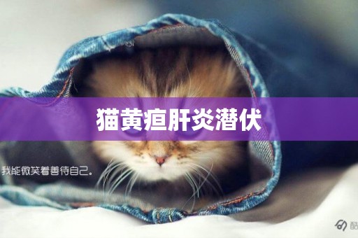 貓黃疸肝炎潛伏