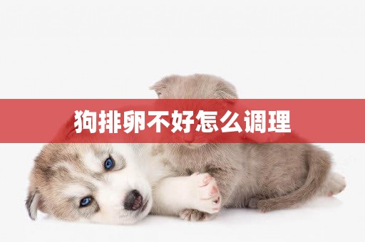 狗排卵不好怎么調理