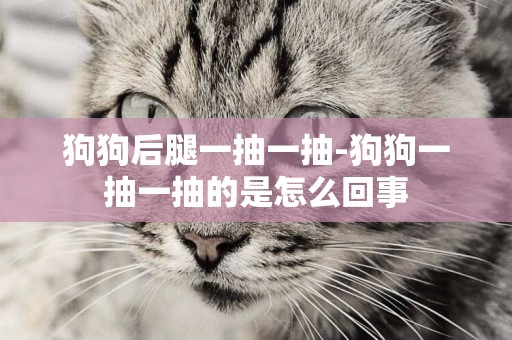 狗狗后腿一抽一抽-狗狗一抽一抽的是怎么回事