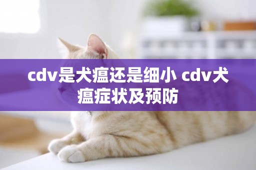 cdv是犬瘟還是細小 cdv犬瘟癥狀及預防