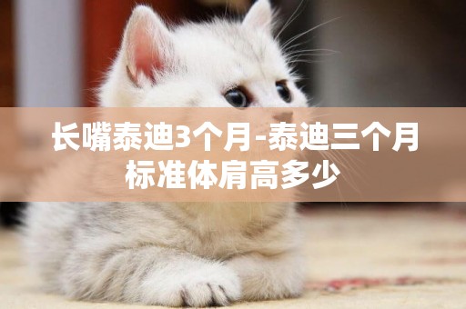 長嘴泰迪3個月-泰迪三個月標準體肩高多少