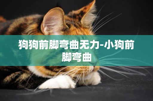 狗狗前腳彎曲無力-小狗前腳彎曲
