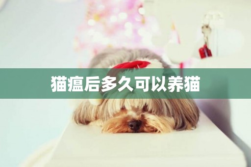 貓瘟后多久可以養貓