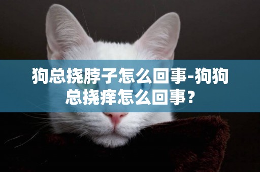 狗總撓脖子怎么回事-狗狗總撓癢怎么回事？