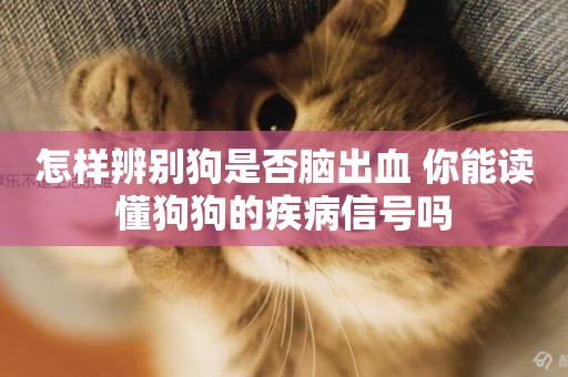 怎樣辨別狗是否腦出血 你能讀懂狗狗的疾病信號嗎