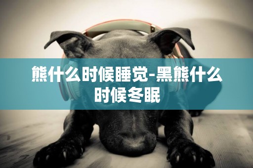 熊什么時候睡覺-黑熊什么時候冬眠