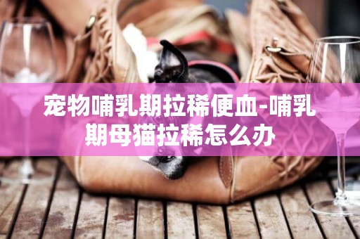 寵物哺乳期拉稀便血-哺乳期母貓拉稀怎么辦