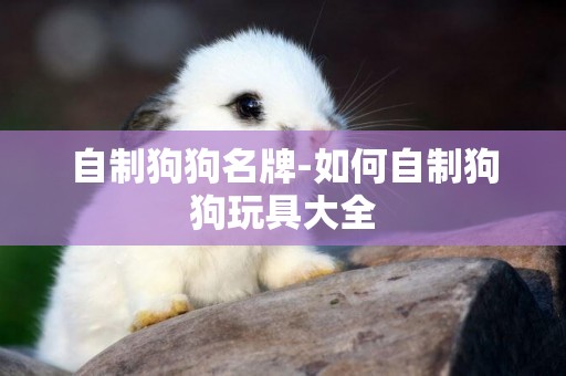 自制狗狗名牌-如何自制狗狗玩具大全