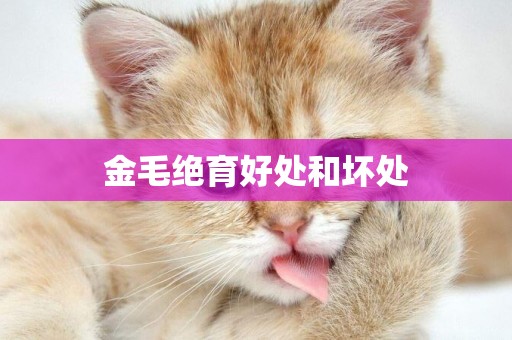 金毛絕育好處和壞處
