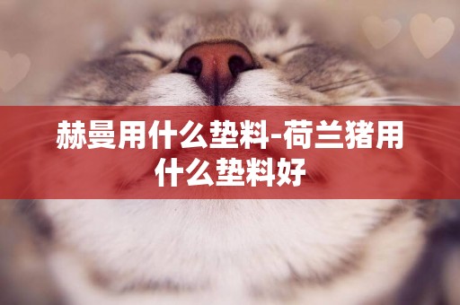 赫曼用什么墊料-荷蘭豬用什么墊料好