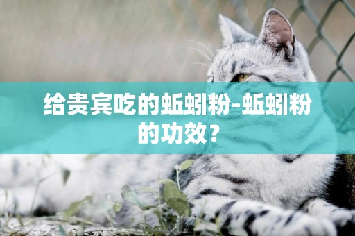 給貴賓吃的蚯蚓粉-蚯蚓粉的功效？