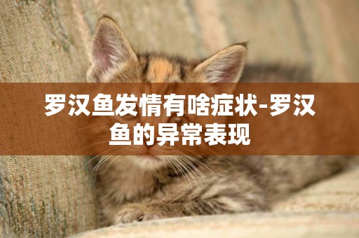 羅漢魚發情有啥癥狀-羅漢魚的異常表現