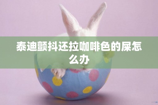 泰迪顫抖還拉咖啡色的屎怎么辦