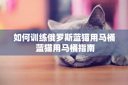 如何訓練俄羅斯藍貓用馬桶 藍貓用馬桶指南
