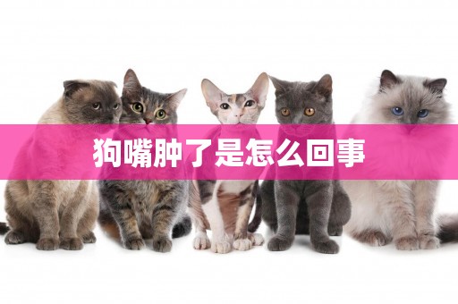 狗嘴腫了是怎么回事