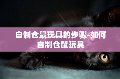 自制倉鼠玩具的步驟-如何自制倉鼠玩具