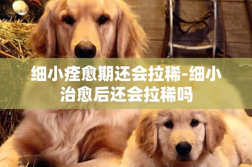 細小痊愈期還會拉稀-細小治愈后還會拉稀嗎