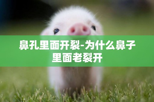 鼻孔里面開裂-為什么鼻子里面老裂開