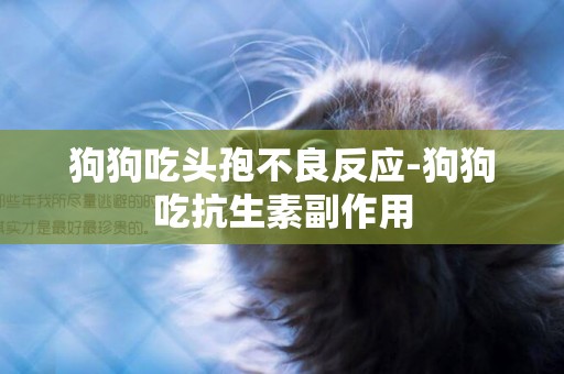 狗狗吃頭孢不良反應-狗狗吃抗生素副作用