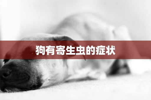 狗有寄生蟲的癥狀