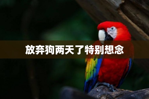 放棄狗兩天了特別想念