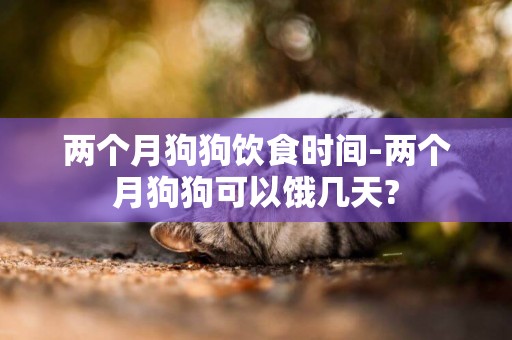 兩個月狗狗飲食時間-兩個月狗狗可以餓幾天?