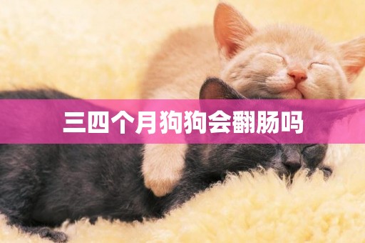 三四個月狗狗會翻腸嗎