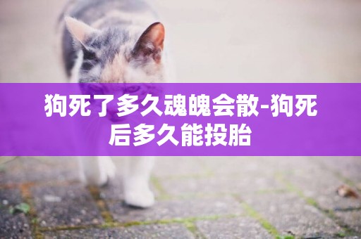 狗死了多久魂魄會散-狗死后多久能投胎