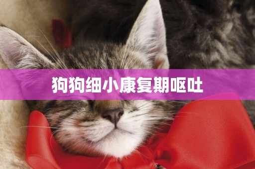 狗狗細小康復期嘔吐
