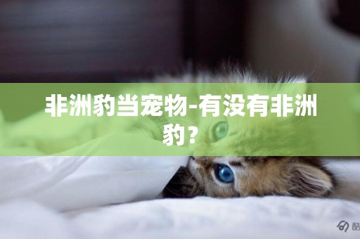 非洲豹當寵物-有沒有非洲豹？