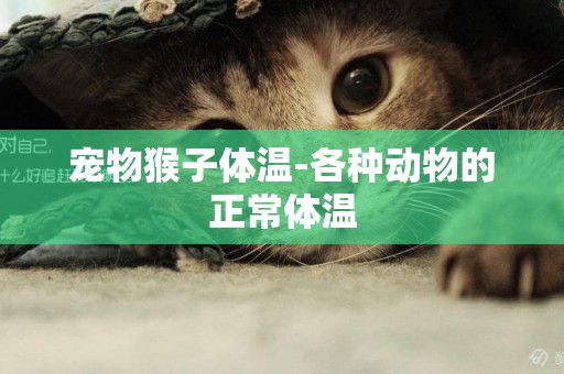 寵物猴子體溫-各種動物的正常體溫