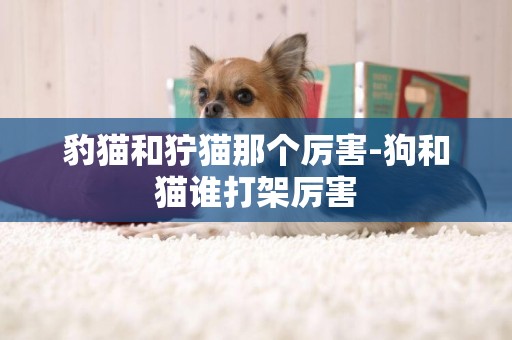 豹貓和獰貓那個厲害-狗和貓誰打架厲害