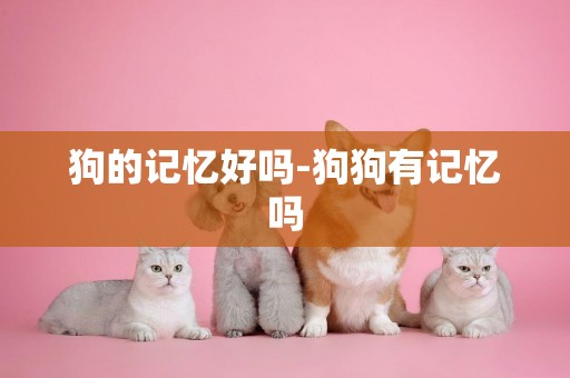 狗的記憶好嗎-狗狗有記憶嗎