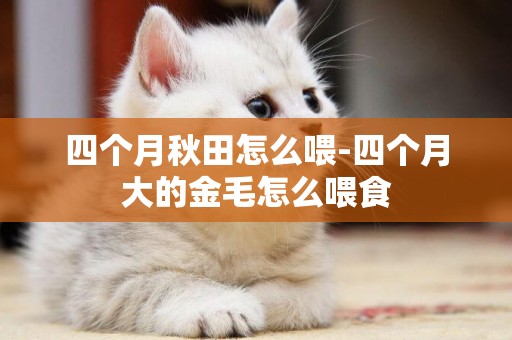 四個月秋田怎么喂-四個月大的金毛怎么喂食