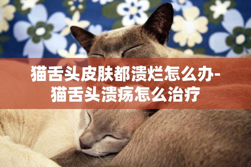 貓舌頭皮膚都潰爛怎么辦-貓舌頭潰瘍怎么治療