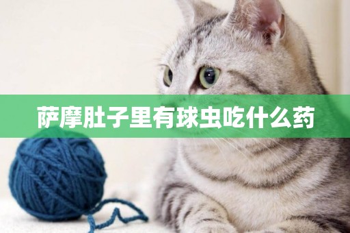 薩摩肚子里有球蟲吃什么藥