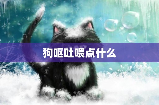 狗嘔吐喂點什么