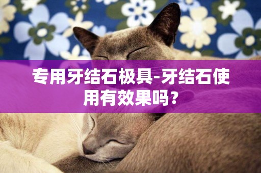 專用牙結石極具-牙結石使用有效果嗎？