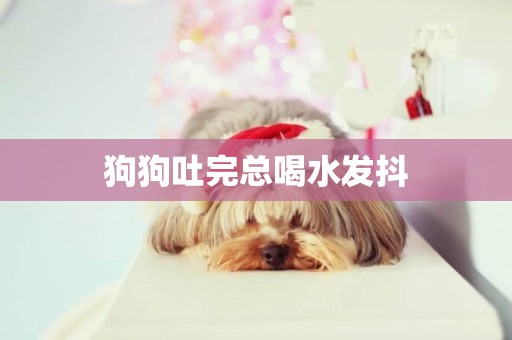 狗狗吐完總喝水發抖