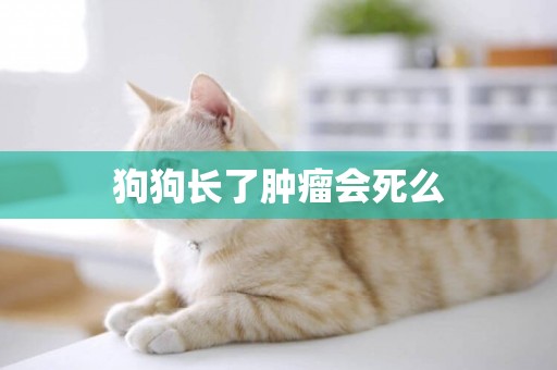 狗狗長了腫瘤會死么