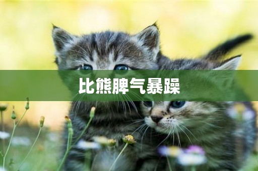比熊脾氣暴躁