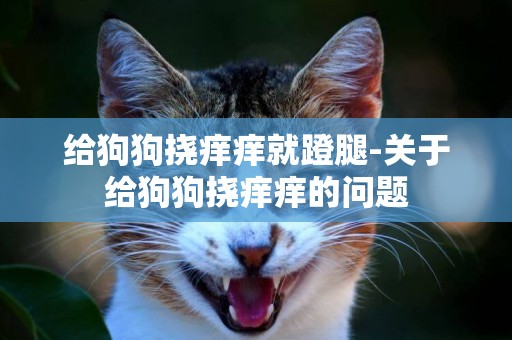 給狗狗撓癢癢就蹬腿-關于給狗狗撓癢癢的問題
