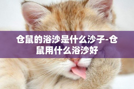 倉鼠的浴沙是什么沙子-倉鼠用什么浴沙好